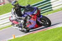 brands-hatch-photographs;brands-no-limits-trackday;cadwell-trackday-photographs;enduro-digital-images;event-digital-images;eventdigitalimages;no-limits-trackdays;peter-wileman-photography;racing-digital-images;trackday-digital-images;trackday-photos